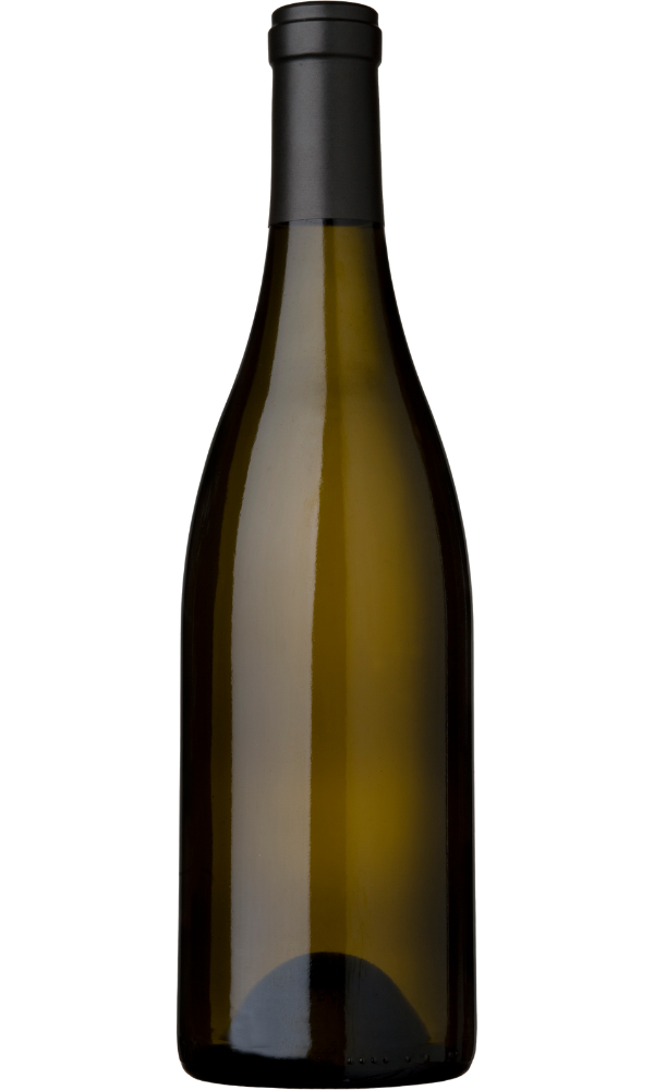 Wine Bottle