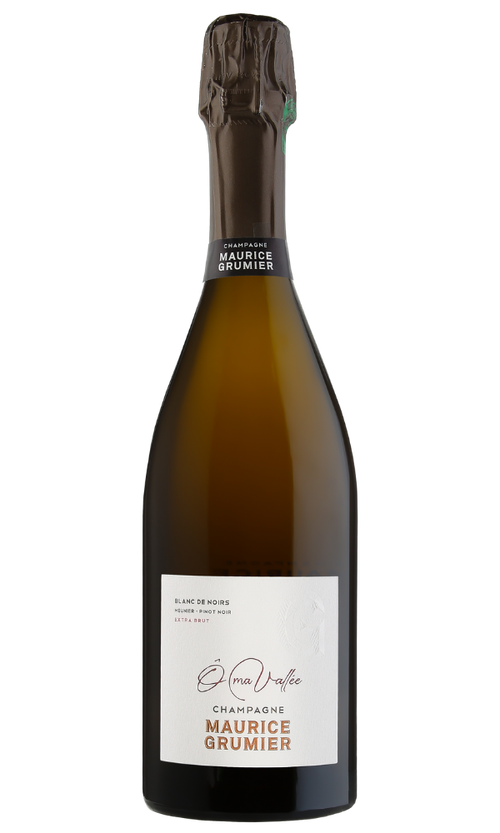 Wine Bottle