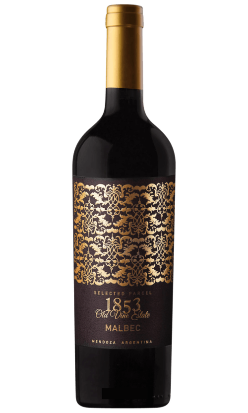 Wine Bottle