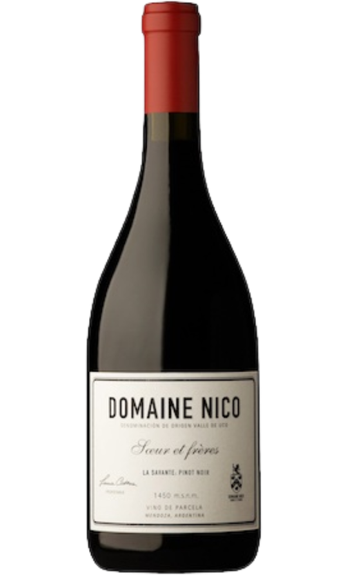 Wine Bottle