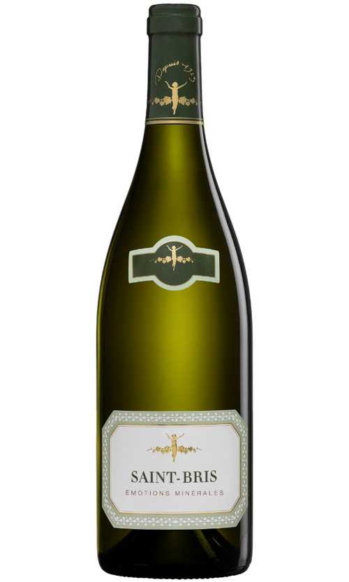 Wine Bottle