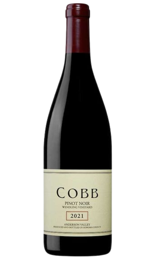 Wine Bottle
