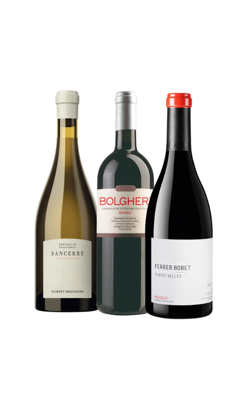 Wine Bottle