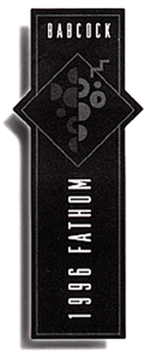 Wine Bottle