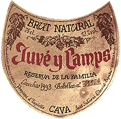 Wine Bottle