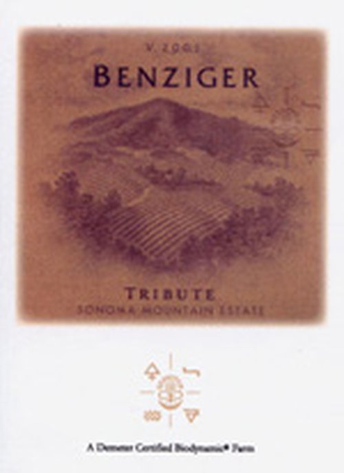 Wine Bottle