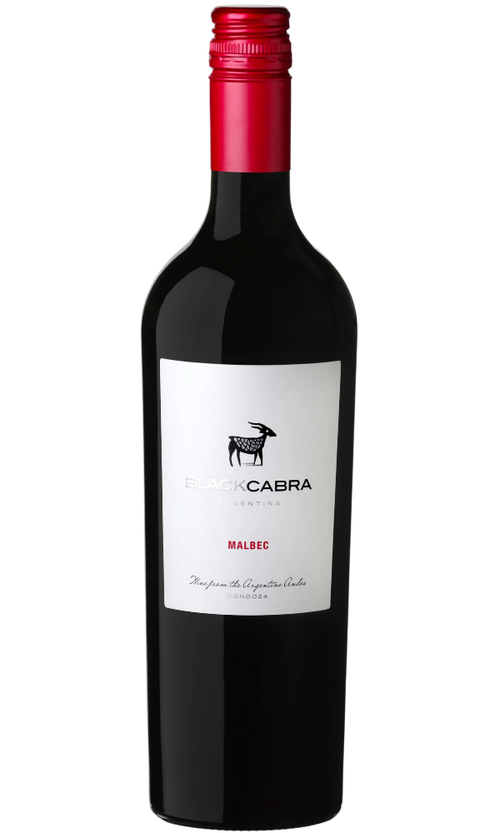 Wine Bottle
