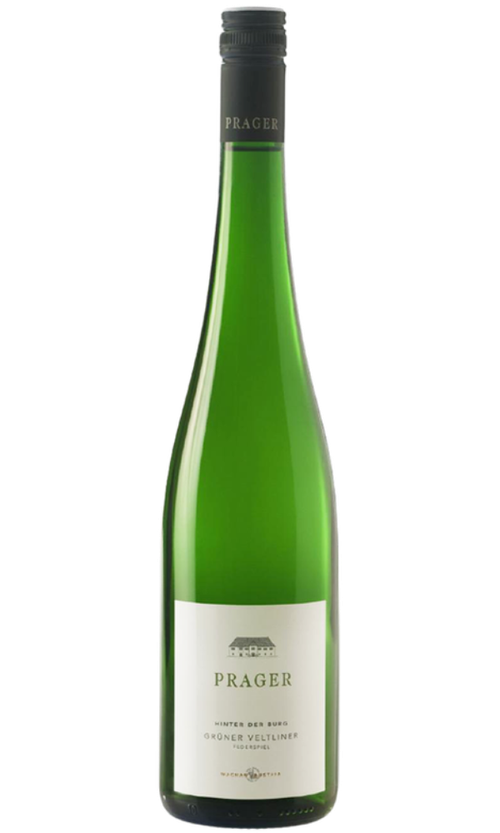Wine Bottle