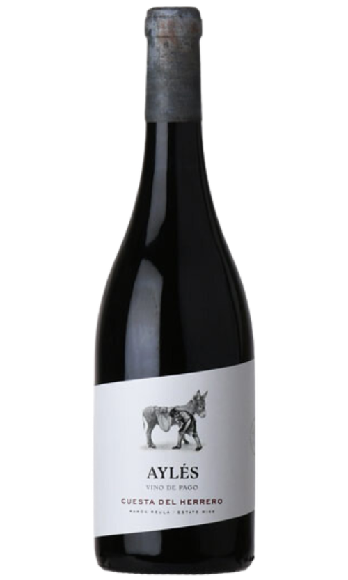 Wine Bottle